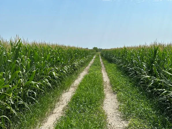 Elk Rd, Edina, MO 63537