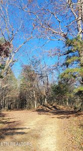 Kidd Mill Rd, Oneida, TN, 37841