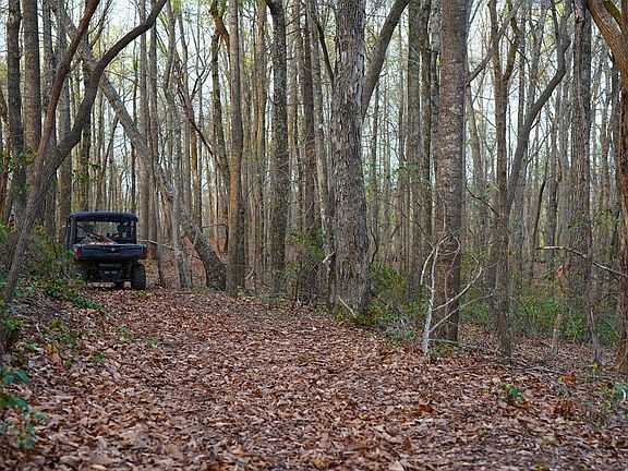 5th image of Carver Lee Rd