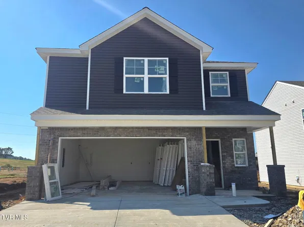 245 Wisteria Dr, Bluff City, TN 37618