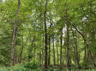 59 Bear Run, Hayesville, NC 28904