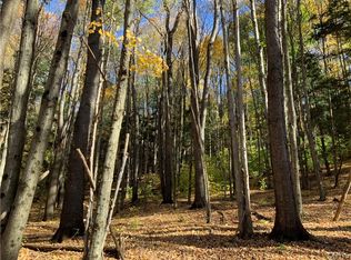 0 Wilson Rd #10, Tully, NY 13159