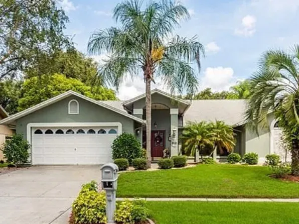 3009 Starmount Dr, Valrico, FL 33596