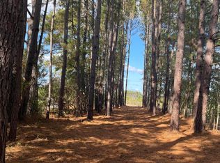 667 Brittlebank Rd, Walterboro, SC 29488