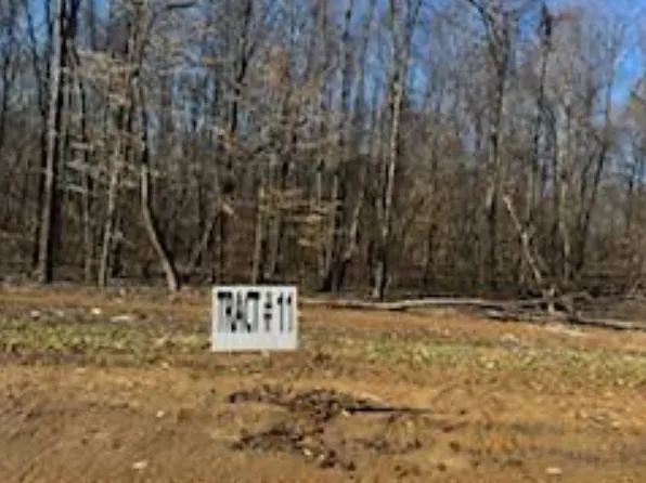 0 White Springs Ln Lot 11, Lafayette, TN 37083