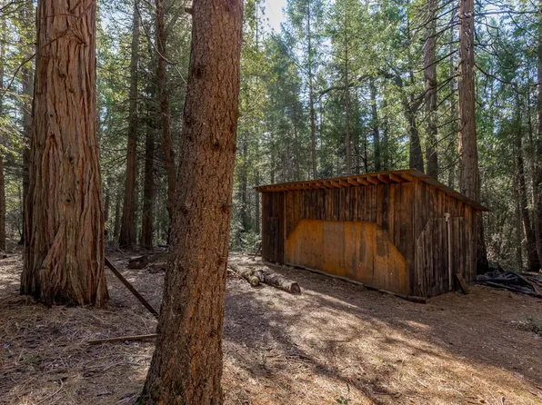 Gold Creek Trl, Volcano, CA 95689