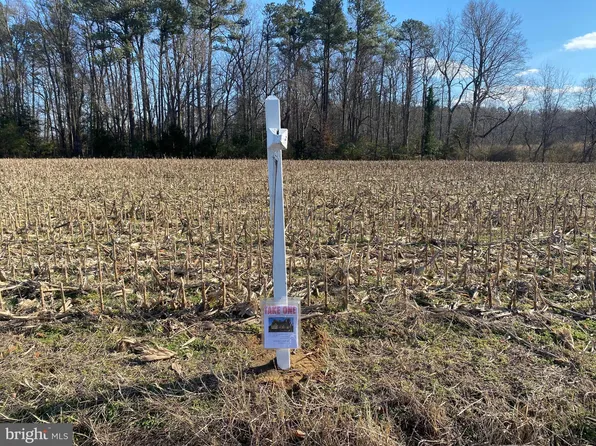 O'Wildwood Rd, Center Cross, VA 22437