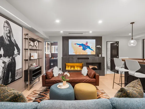 725 E Durant Ave #22, Aspen, CO 81611