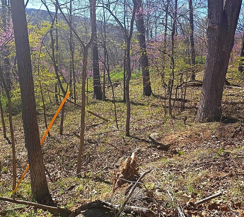 1st image of 16 Dogwood Trl