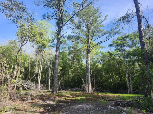 Plantation Ln, Defuniak Springs, FL 32433
