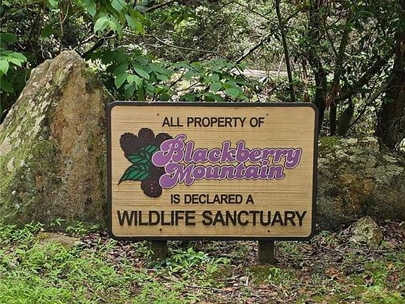 2nd image of 0 Blackberry Mountain Rd #17