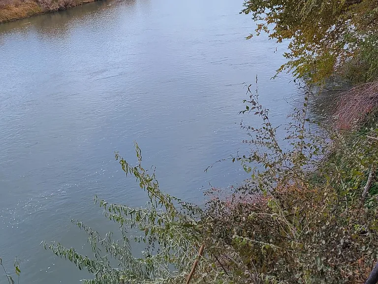 On the River looking to the East.