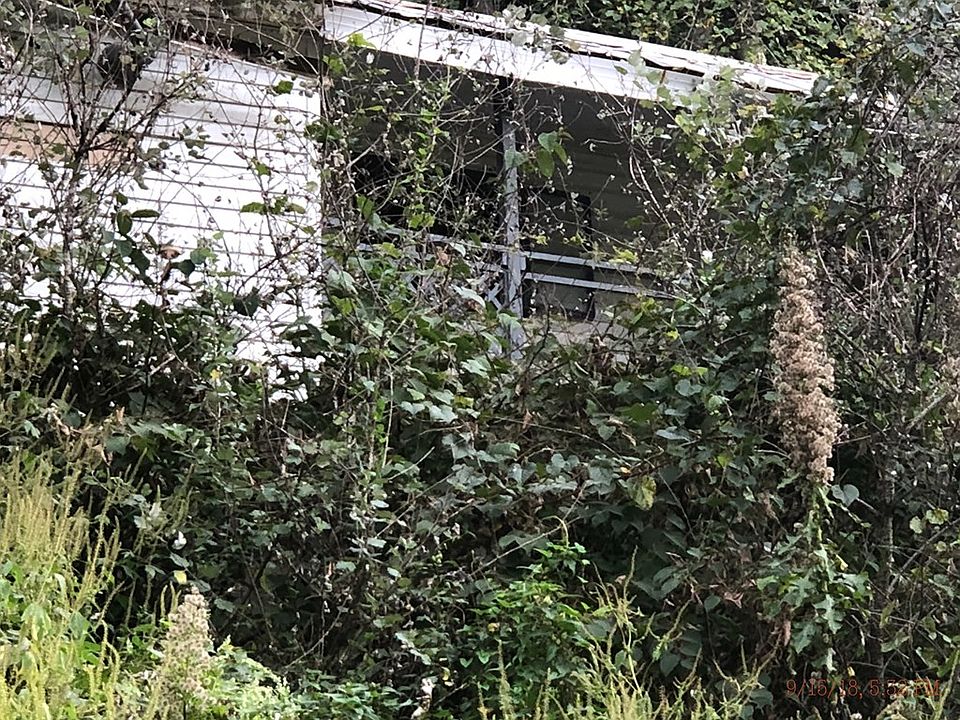 2nd image of 129 Pigeon Roost Br