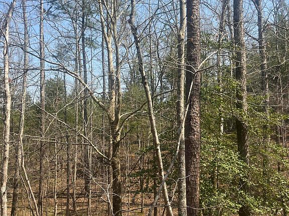 2nd image of Tbd Healing Acres Lane
