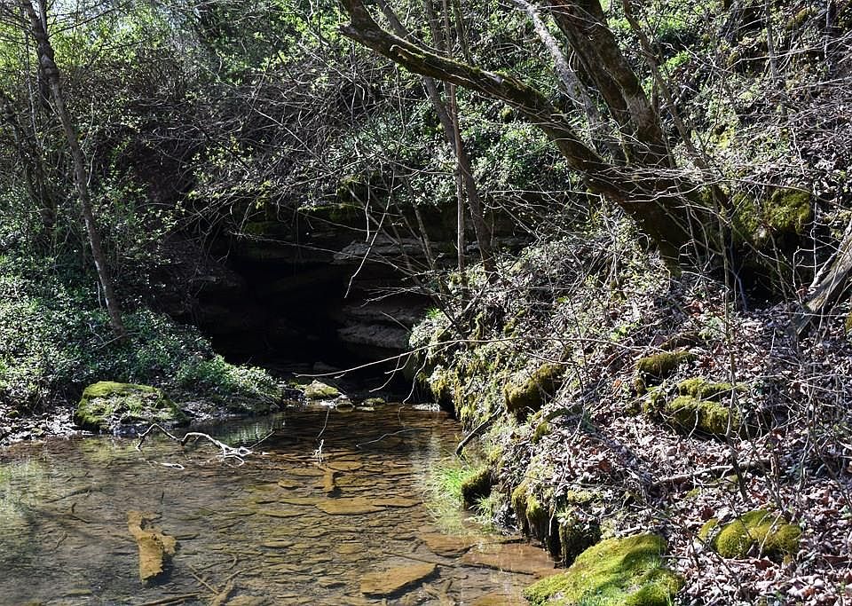 1st image of 1013AC Dry Mill Creek Rd