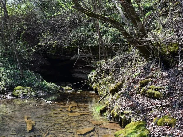 1013AC Dry Mill Creek Rd, Hilham, TN 38568