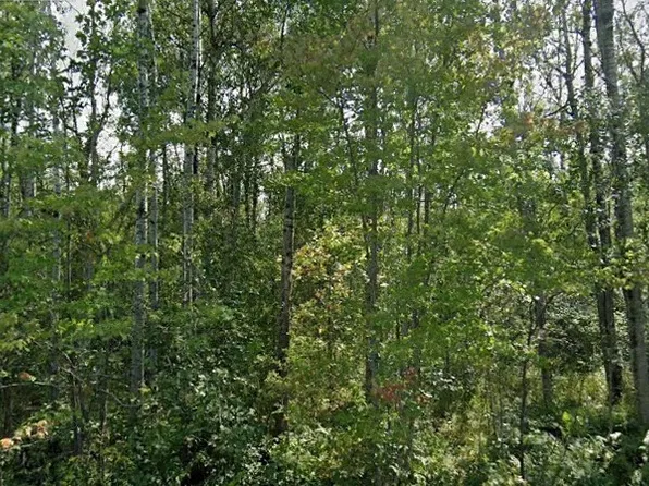 40ac E County Road B Road, Oakland, WI 54874