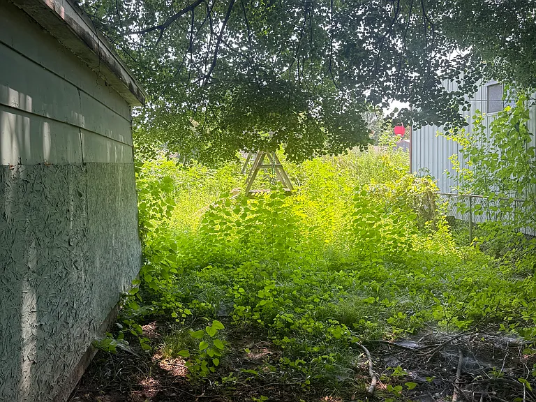 2640 S 5th St — Photo 15