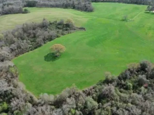 208 County Road 7 Rd, Clio, AL 36017