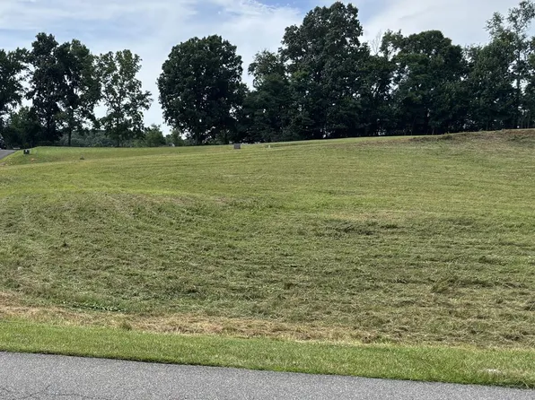 Chestnutwood Dr, Chilhowie, VA 24319