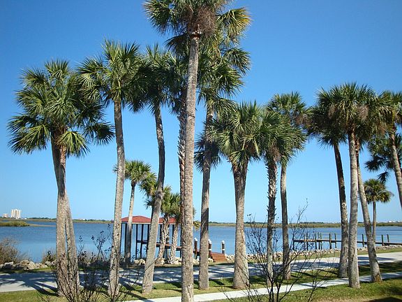 Intracoastal View