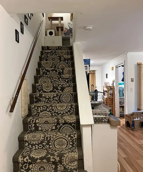 49 Bolduc Ln #C — Photo 5