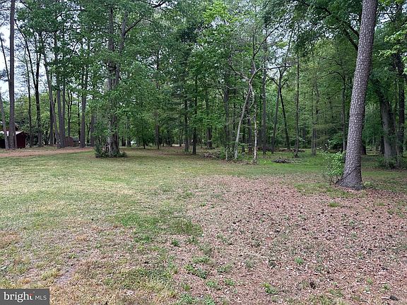 5th image of 28403 Old Eden Rd