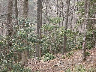 2nd image of Savannah Dr