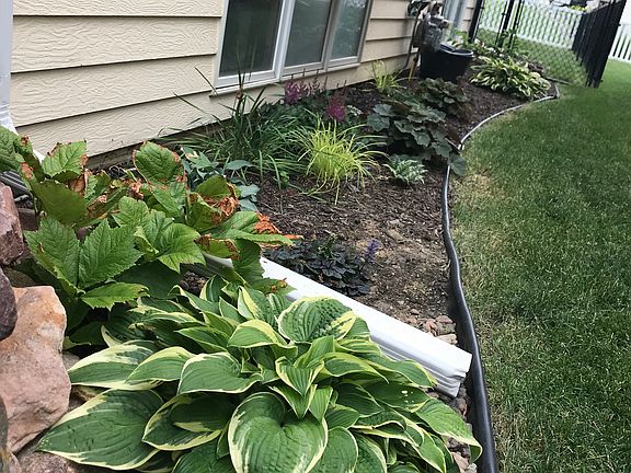 5th image of 2833 Lawson Dr