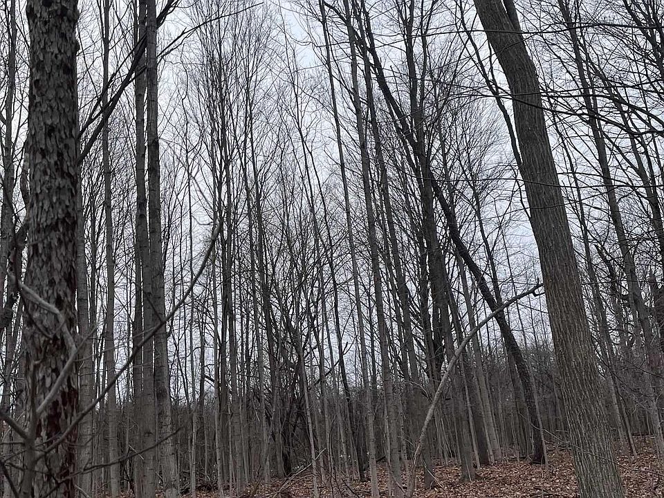 1st image of 0 Fox Ridge Ln #1-A