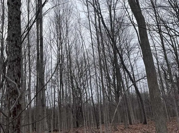 0 Fox Ridge Ln #1-A, Allenton, MI 48002