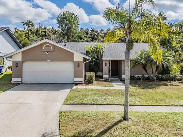 8628 Chadwick Dr, Tampa, FL 33635