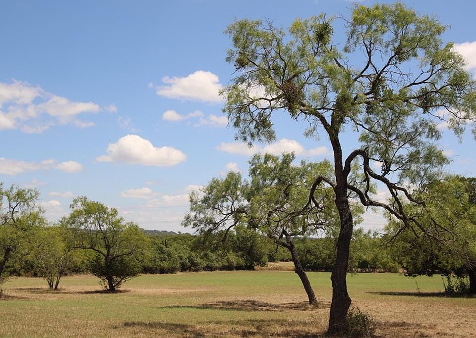 1st image of L2 Old Vine