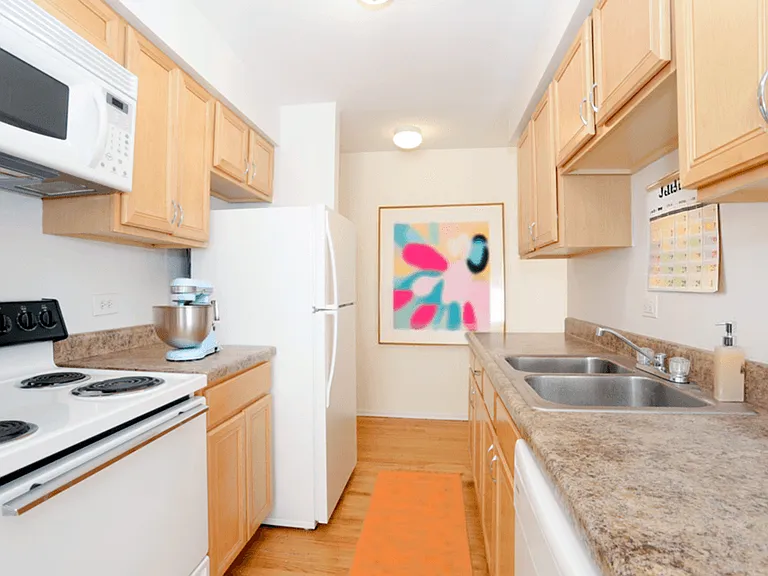 Sheridan Terrace - 6725 N Sheridan Rd — Photo 4