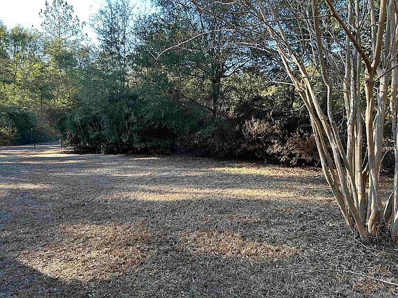 2nd image of 752 Forest Cir N
