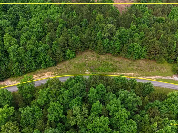 Lots 218 And 219 Stoney Point, Double Springs, AL 35553