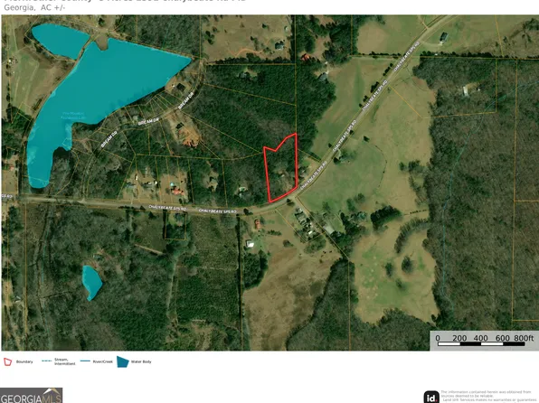 2391 Chalybeate Rd, Manchester, GA 31816