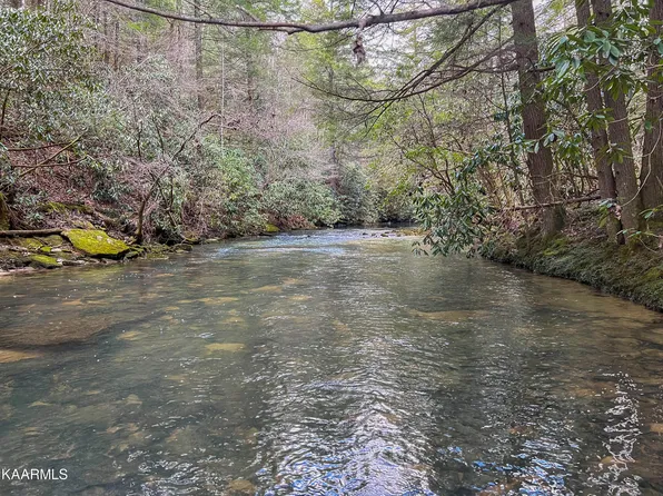 Twin Bridge Rd, Deer Lodge, TN 37726