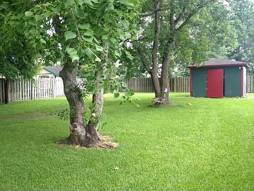 3rd image of 306 Firwood Dr