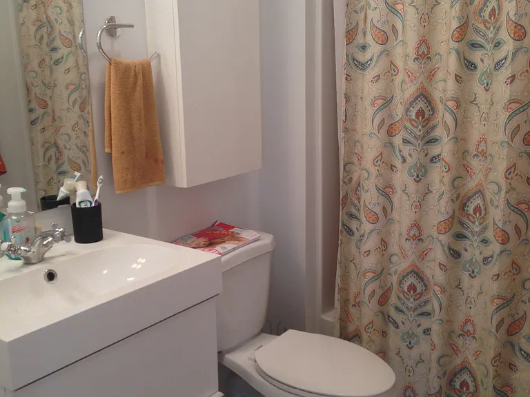 1243 N Greenview Ave #RB-1 — Photo 7