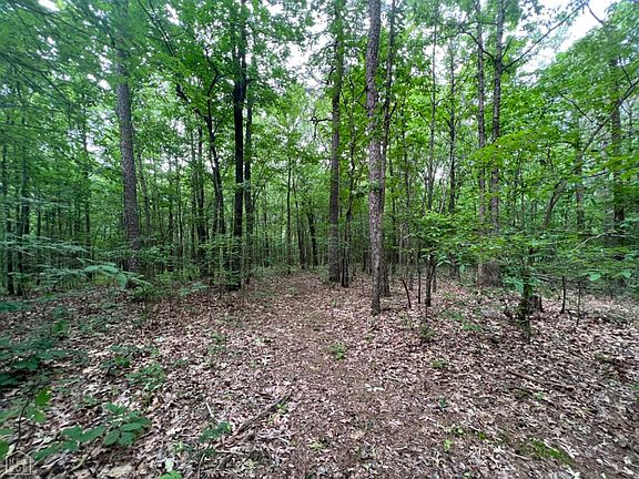 5th image of 8299 Oak Creek Ln