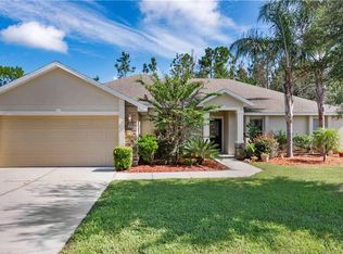 2951 Southern Pines Loop, Clermont, FL 34711