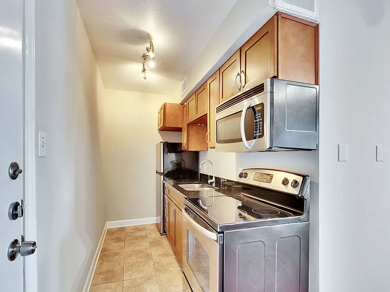 2020 S Congress Ave #1316 — Photo 4