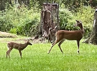 3372 Childers St, Milton, FL 32583