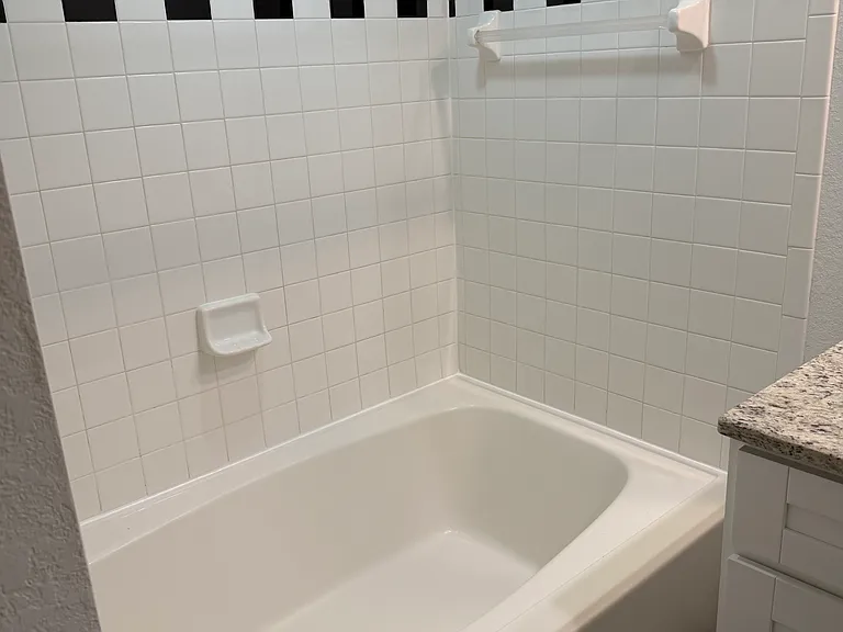 2421 W Horatio St #830 — Photo 7
