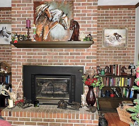 Brick FP/ Gas logs in Den