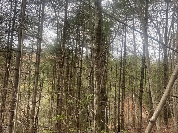 0 Poplar Cove Rd, Mars Hill, NC 28754