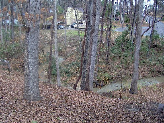 VIEW FROM SIDE PATIO