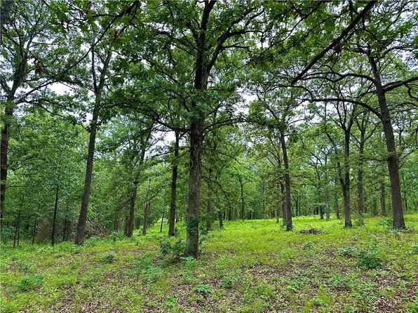 NE 781st Rd, Lowry City, MO 64763