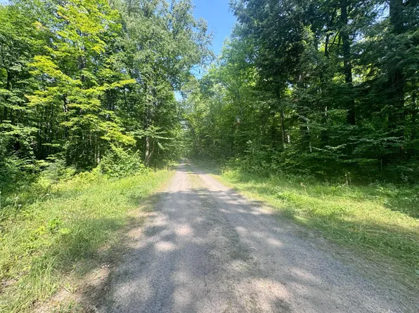 80AC Off Forest Rd #3350, Iron River, MI 49935